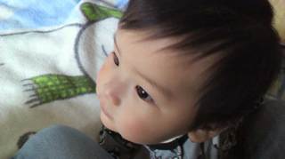2013031714090002.jpg