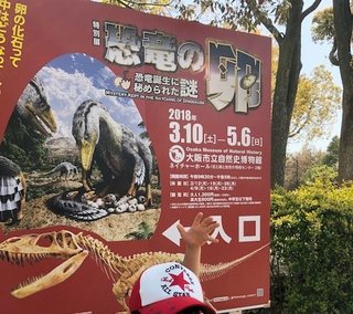 2018033102.jpg